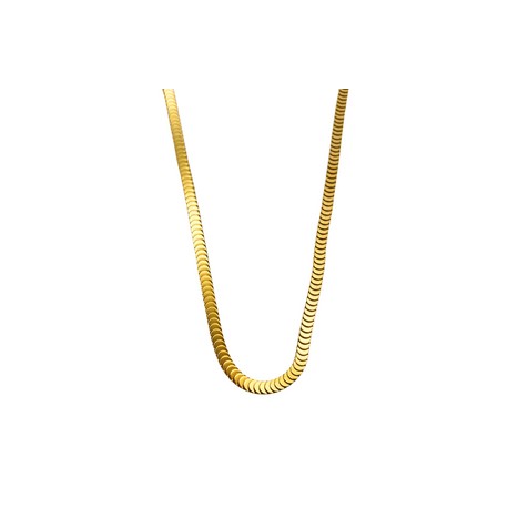 Snake Coin Gold Necklace