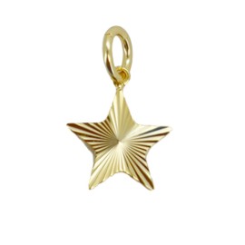 Flutted Star Charm