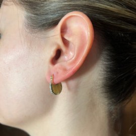 Mini Shell Gold Hoops