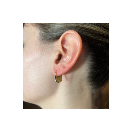 Mini Shell Gold Hoops