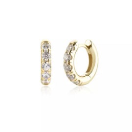 Bold Gold Hoop