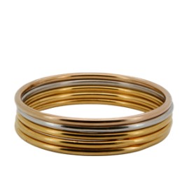 Rêve Skinny Bangle Set (5)