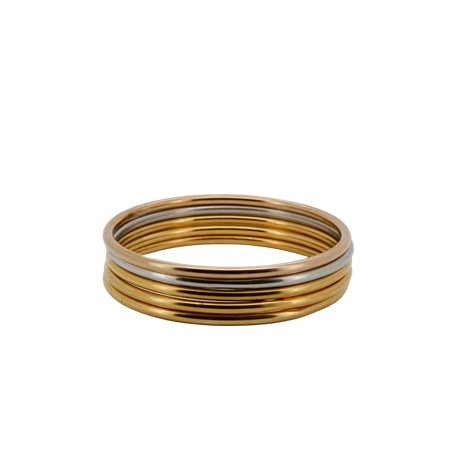 Rêve Skinny Bangle Set (5)